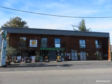 local professionnel à louer