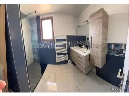 maison rénovée avec jardin de 240m2