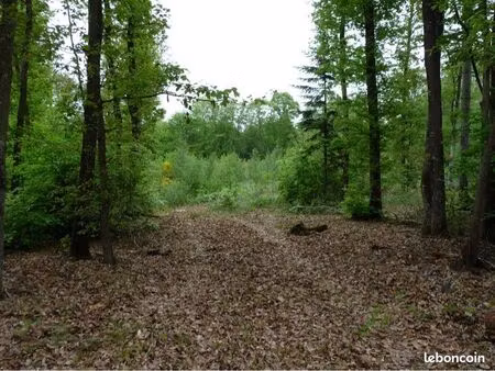 terrain 7300m2