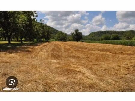 location ( bien lire l’annonce )cherche terrain