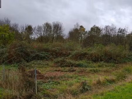 terrain constructible