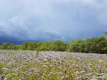 terrain agricole 55 700 m²