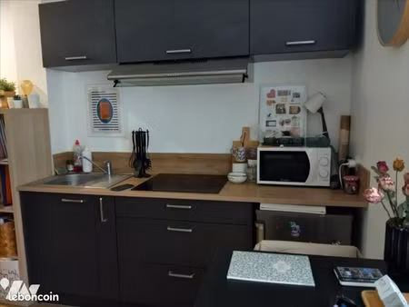 studio 1 pièce 19 m²