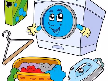 blanchisserie semi industrielle