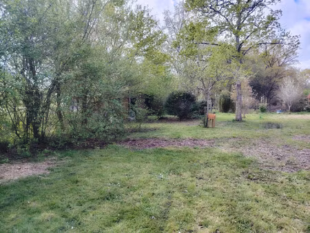 vente terrain 3187 m² saint-lyphard (44410)
