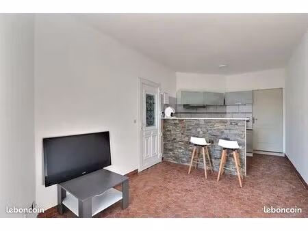 studio meublé rénové – centre riscle – lumineux et fonctionnel