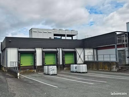 entrepôt 675 m² les herbiers