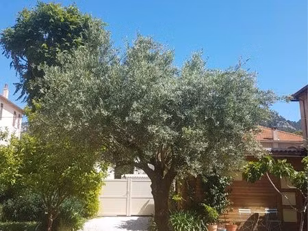 maison meublée avec jardin et parking