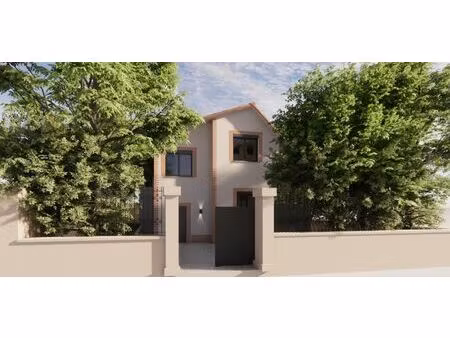 maison centre toulouse - jardin