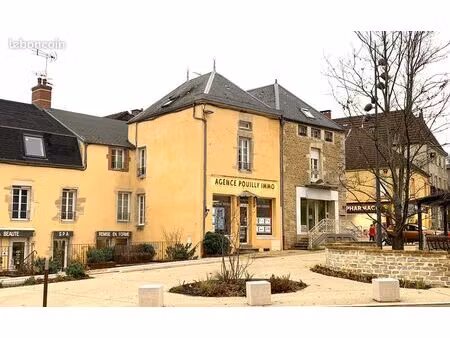 local commercial plein coeur du centre - pouilly en auxois (21)