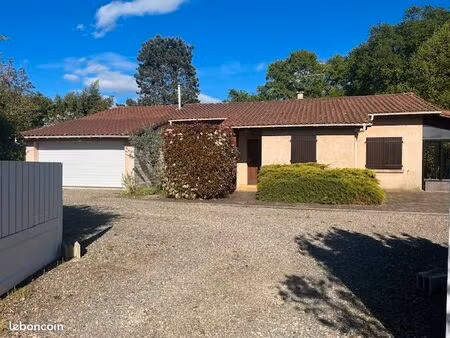 maison à louer centre ville