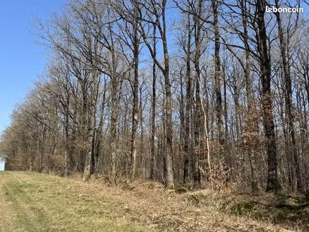 terrain 780000 m² écueillé