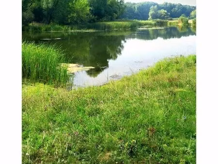 terrain 4130 m² flere la riviere