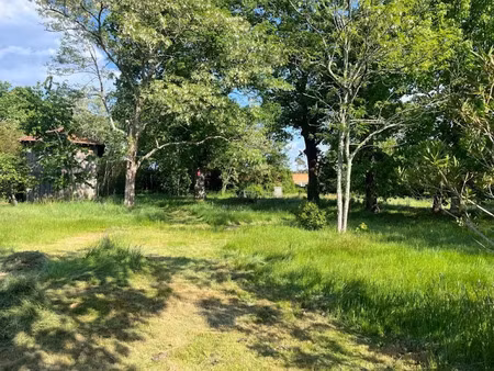 vente terrain 1990 m² à biscarrosse (40600)  350 000 €