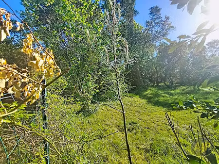 vente terrain 1000 m² à la teste-de-buch (33260)  265 000 €