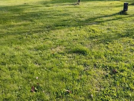 terrain constructible