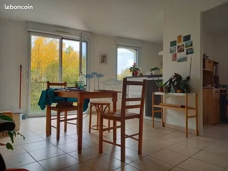 appartement 3 pièces 54 m²