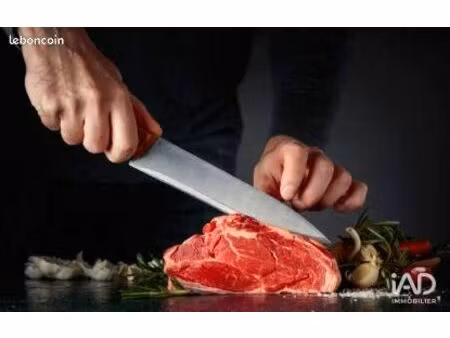 boutique 45 m² saint-maur-des-fossés