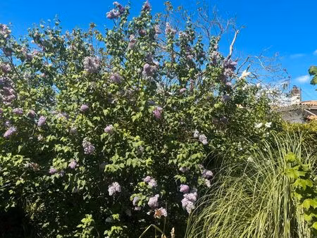 maison de plain-pied à royan