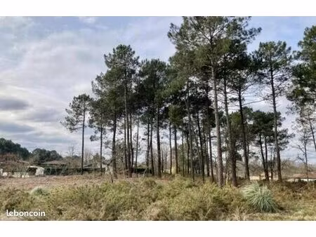 terrain 600 m² brach