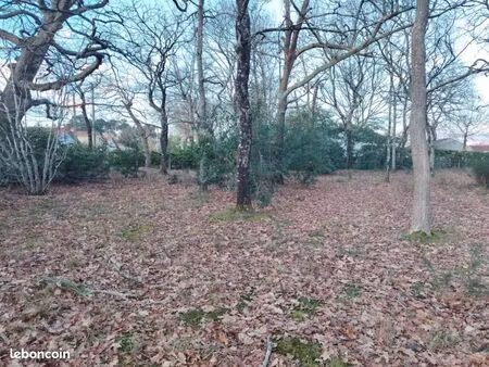 terrain 560 m² mont de marsan