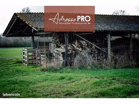 local commercial 166 m²