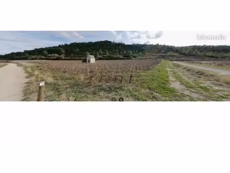 vends vignoble 12 ha