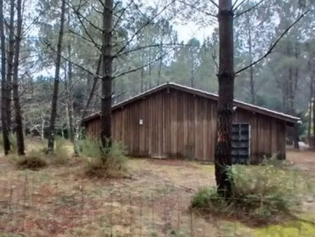 grande et belle grange en forêt