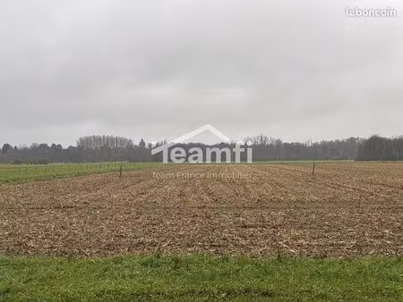 terrain 1056 m² germigny-des-prés