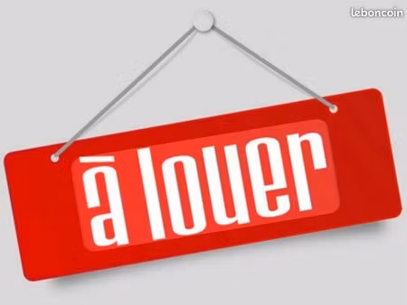 appartement centre ville lumineux