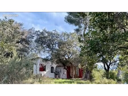 petite maison dans un cadre de verdure