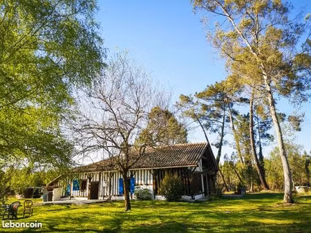rare maison landaise – airial 1ha calme absolu – aucun vis-à-vis - piscine