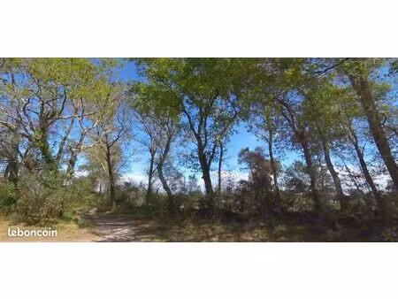 terrain 611 m² seignosse