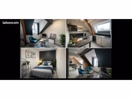 2 pièces olivet/st pryvé 1et dernier ét. cour parking