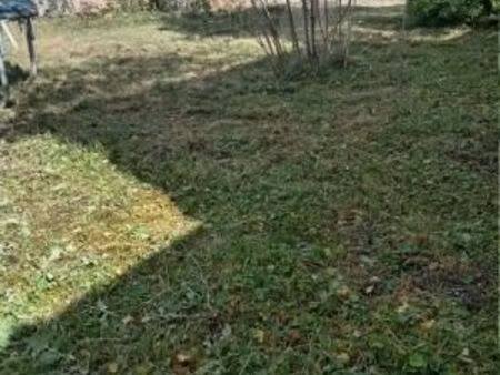 maison de ville avec jardin