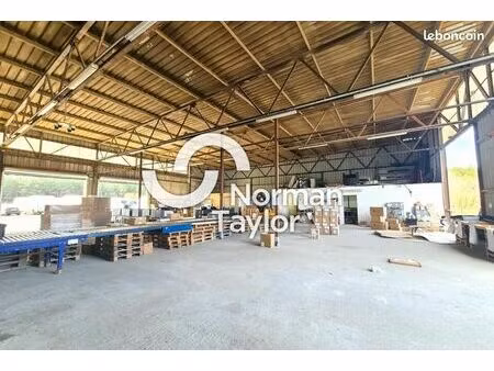 local d'activité 275 m²