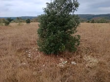 terrain truffier - 3.83ha - thedirac