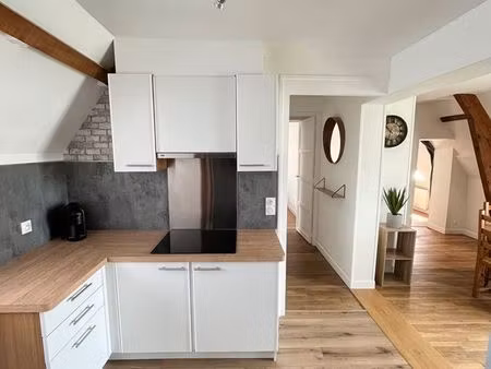 appartement vue sur loire  50m2  2 chambres à louer
