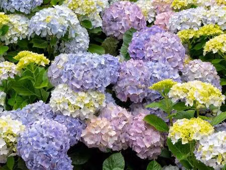 vente maison à remungol (56500) : à vendre / 143m² remungol