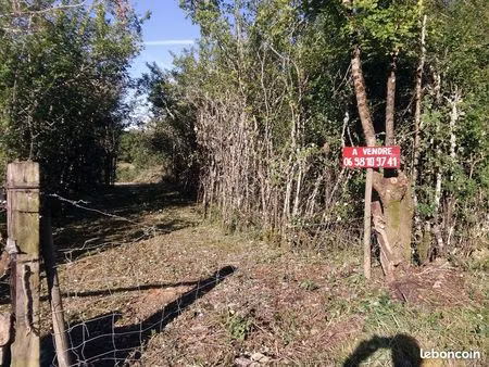 terrain constructible