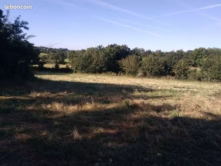 terrain constructible