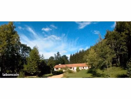 belle maison familiale rénovée de 200m2 + 3 gîtes attenant et une salle polyvalente sur te