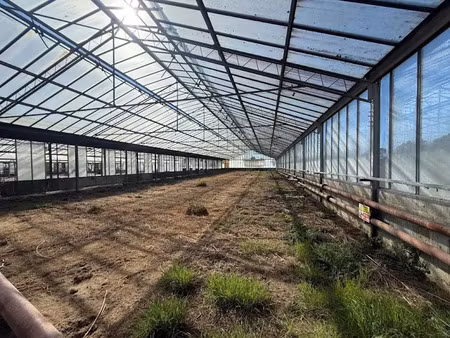 vente locaux professionnels à saint-pardon-de-conques (33210)  75 000 €