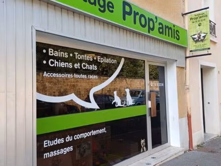 fonds de commerce toilettage canin