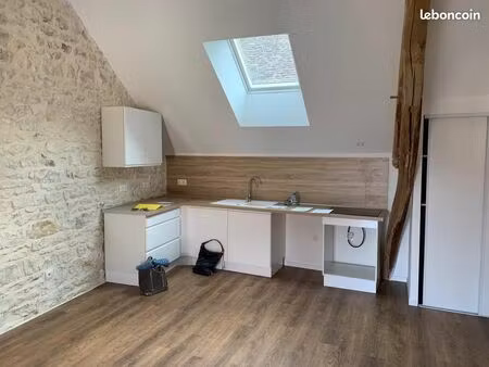 appartement de 50 m² au coeur d'appoigny