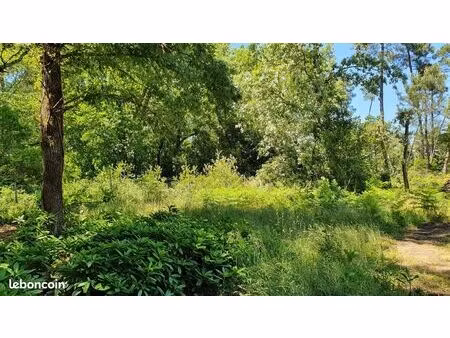 terrain 769 m² bouliac