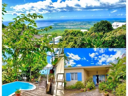 maison de luxe à vendre à saint-paul