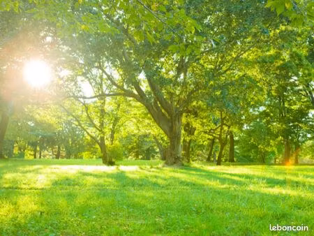 terrain 1 020 m² gujan mestras