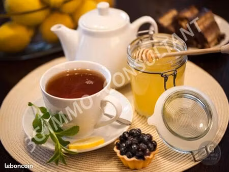 vente fonds de commerce | fonds de commerce | 100 m² | toulouse