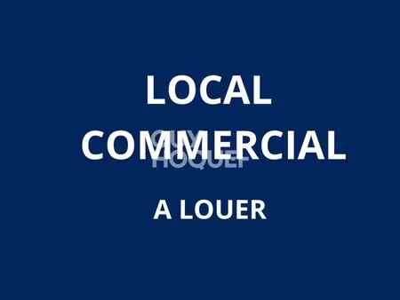 local d'activité toulouse